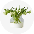 TechBee