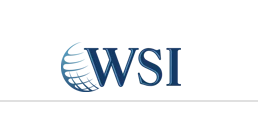 WSI Expert Solutions