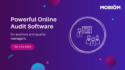 auditing software