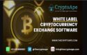 CryptoApe