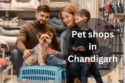 Pet Shops in Panchkula