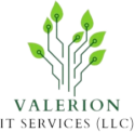Valerion IT Services