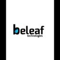 NFT Marketplace Development Service Provider – Beleaf Technologies