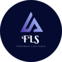 Followers Like Store