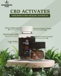 Green Herbal Care CBD & Delta-8 THC