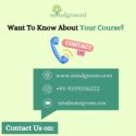 Mindgroom Career Counselling