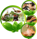 Herbal Park Ayurvedic Health Center