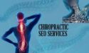 Web Cures Digital Chiropractor SEO Sugar Land
