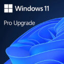 Windows 11 Pro