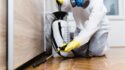 SureFire Pest Control