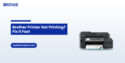 Brother Printer Offline