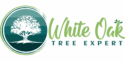 White Oak Tree Expert