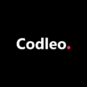 Codleo Consulting – Salesforce Summit Partner